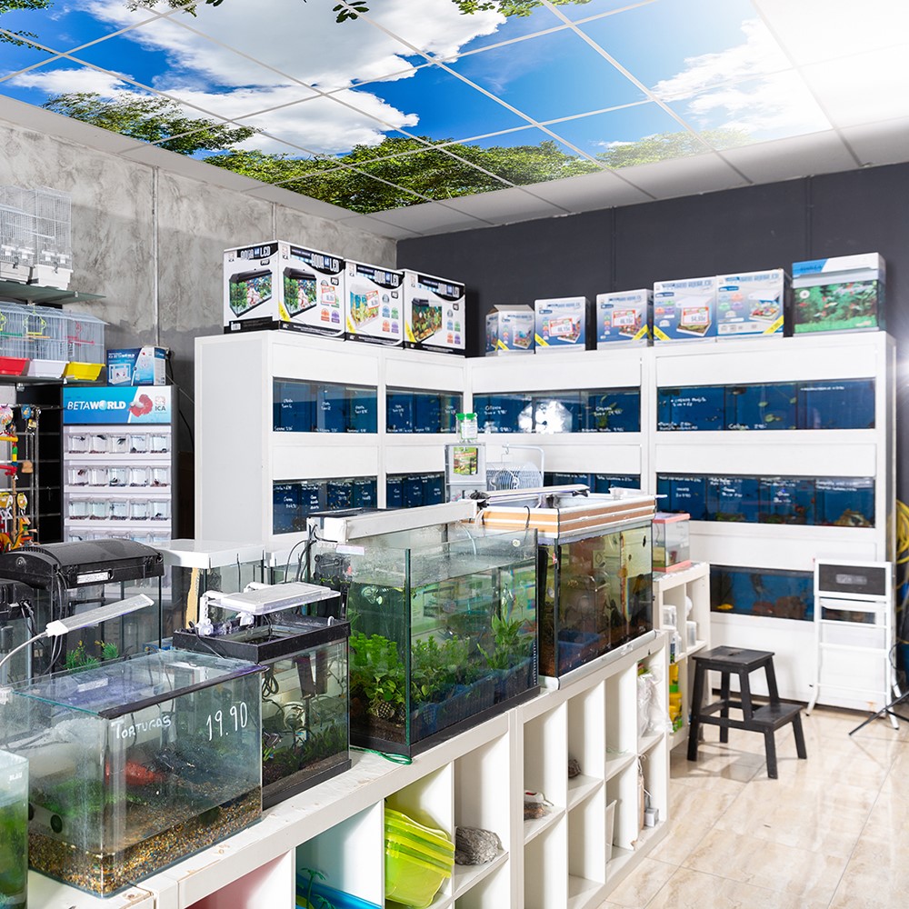 Systemhimmel gallery 5 Pet shop opt